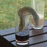 Lustige Urlaubsfotos