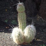 Lustige Urlaubsfotos