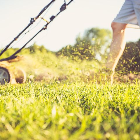 Akku-Rasenmäher sind eine praktische Alternative zu Mäher mit Kabeln, aber sie haben deutlich weniger Power und sind sehr viel teurer.