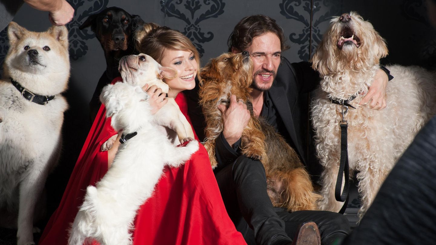 Germany's Next Topmodel - GNTM