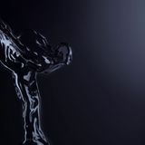 Auch die "Spirit of Ecstasy" schimmert schwarz