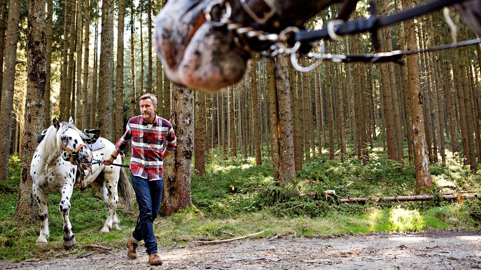 So weit die Hufe tragen So weit die Hufe tragen