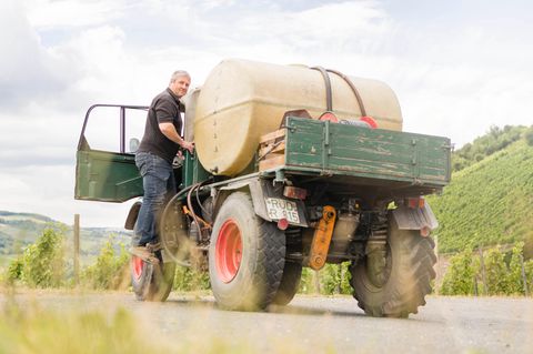 Vom Manager zum (Wein-)Bauer: Der mutige Weg von Neu-Winzer Robert Wurm