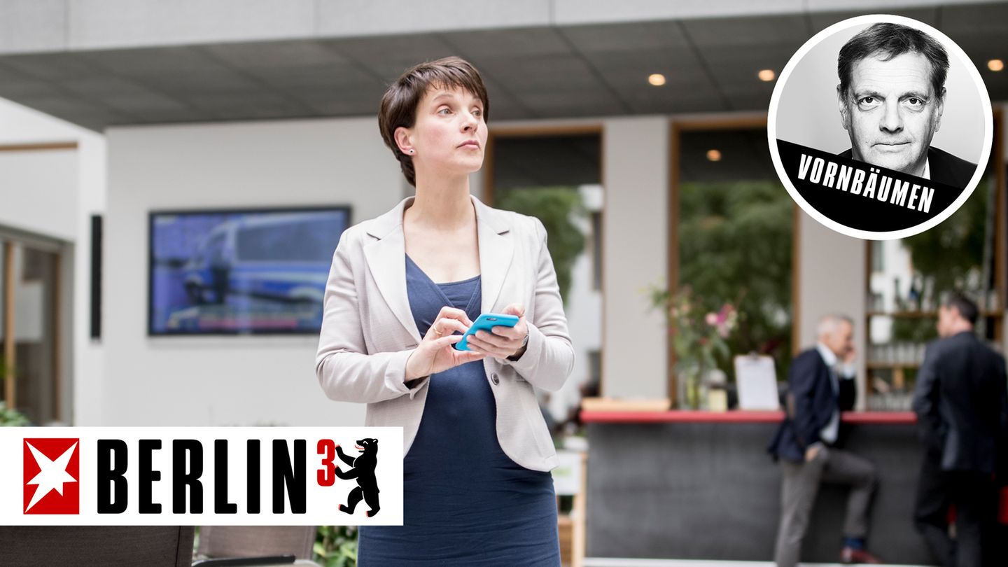 Parteichefin mit Babybauch: Wie sieht die Zukunft von Frauke Petry bei der AfD aus?