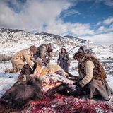 Ein Büffel wird gehäutet und ausgeweidet