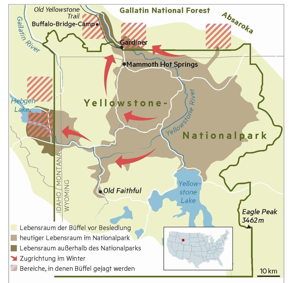 Grafik: Lebensraum der Büffel um den Yellowstone-Nationalpark