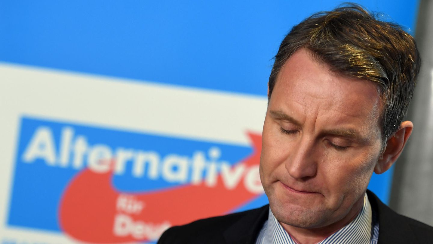 AfD Björn Höcke