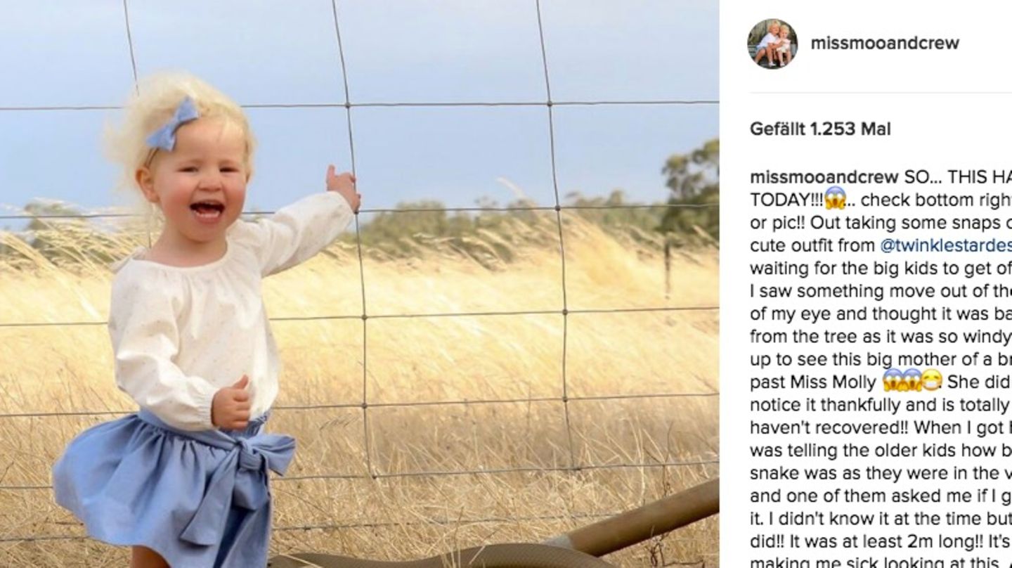 Die zweijährige Molly posiert für ein Foto vor einem Zaun
