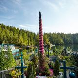 Allerdings ist das Leben auch einsam, die Küste ist von einem Urwald bedeckt. 