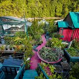 Die Plattformen sind eine faszinierende Mischung aus Selbstversorgerwirtschaft und künstlerischem Ausdruck.