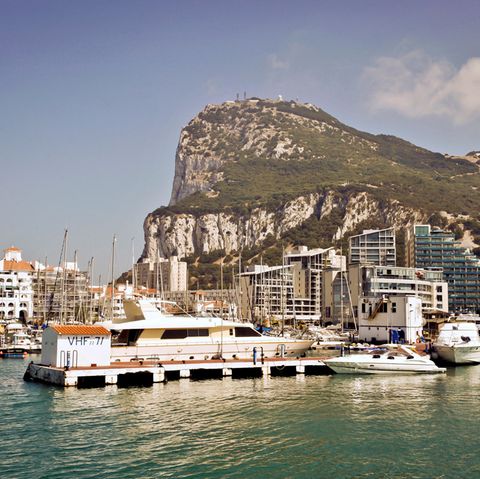 Gibraltar Affenfelsen