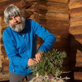 Pfunder Tschey, Greit, Tiroler Oberland, Österreich     "Aber, wenn ich abends vor der Hütte sitze, ist immer eine Bewegung da." Hirsch, Rehe, Fuchs und Hase sagen ihm Gute Nacht.