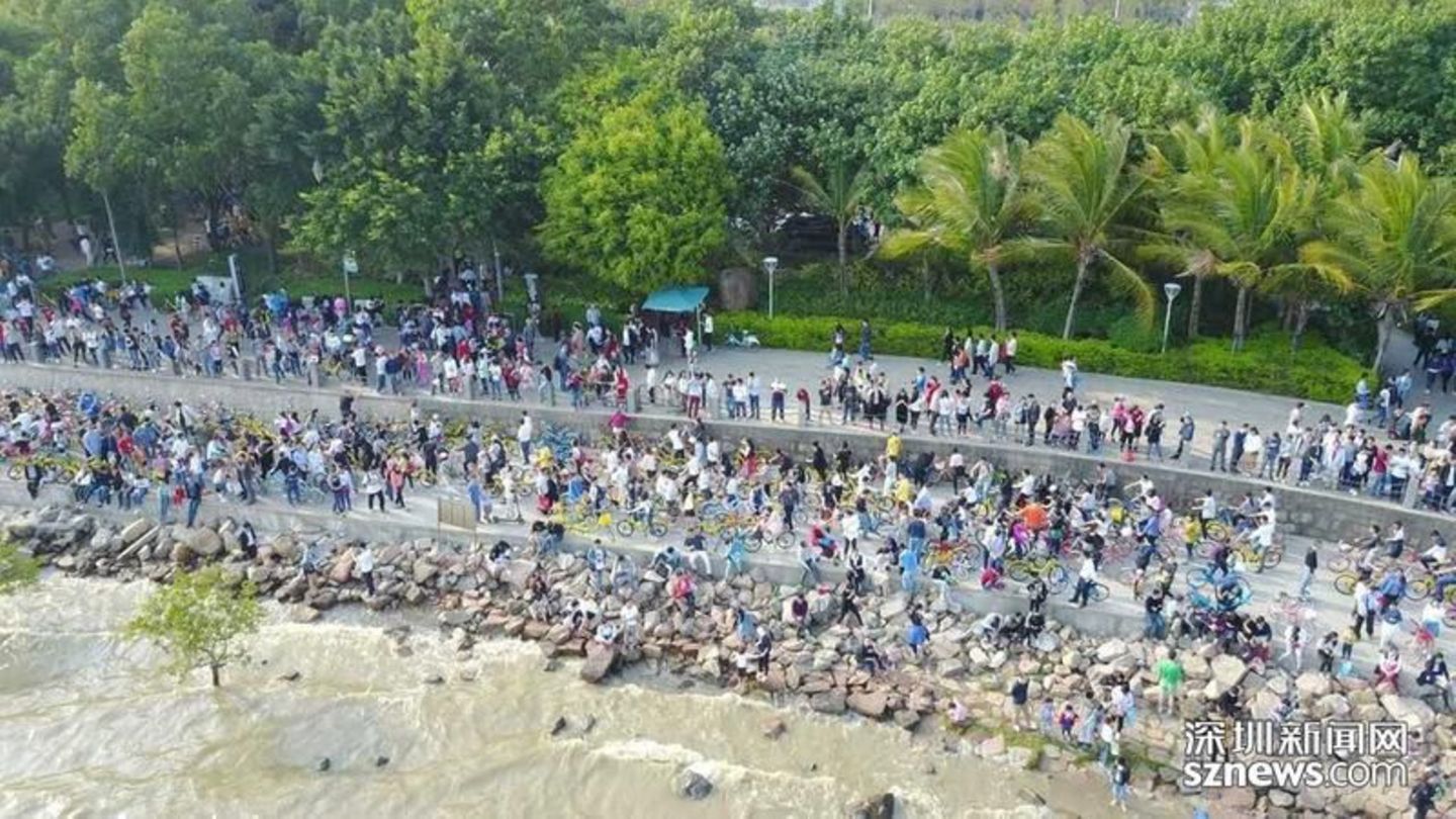 In der chinesischen Stadt Shenzhen hat ein Überfluss an Shared-Bikes den Bay Park eingenommen.