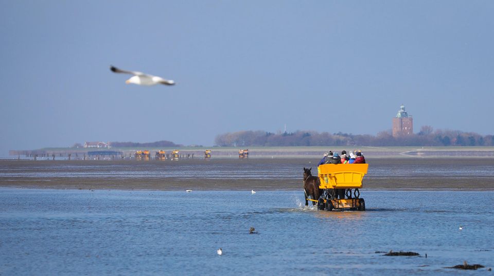 Insel Neuwerk Insel Neuwerk