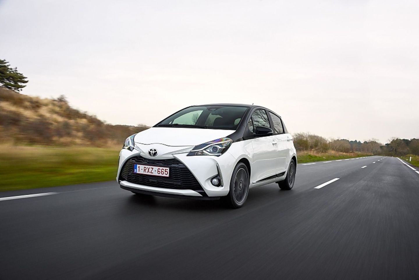 Topseller ist und bleibt der Hybrid.