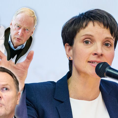 AfD-Politiker Frauke Petry, Björn Höcke, Alexander Gauland, Leif-Erik Holm und Georg Pazderski