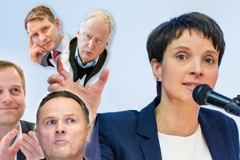 AfD-Politiker Frauke Petry, Björn Höcke, Alexander Gauland, Leif-Erik Holm und Georg Pazderski