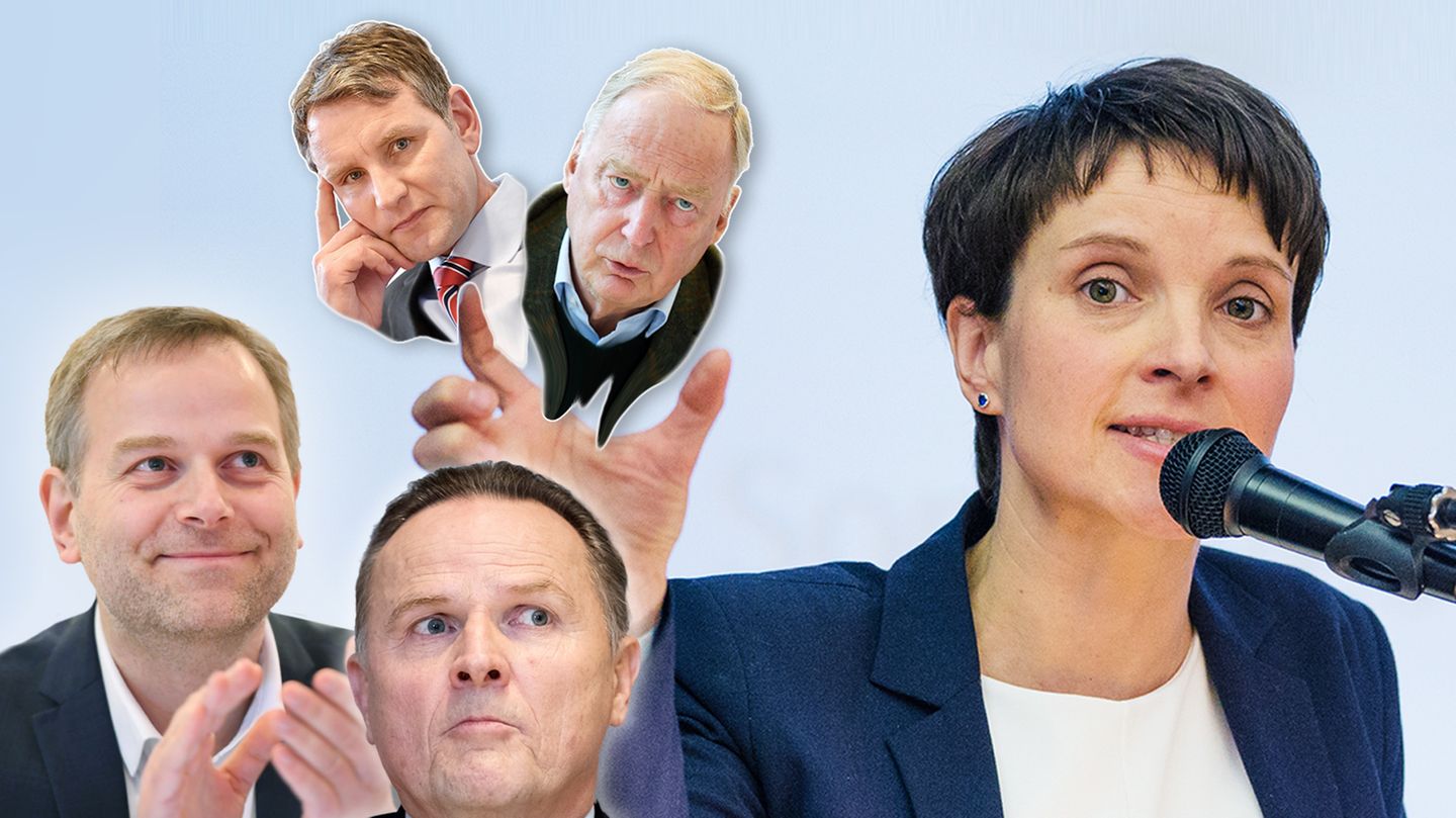 AfD-Politiker Frauke Petry, Björn Höcke, Alexander Gauland, Leif-Erik Holm und Georg Pazderski