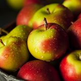 Obst in UK-Gefängnissen