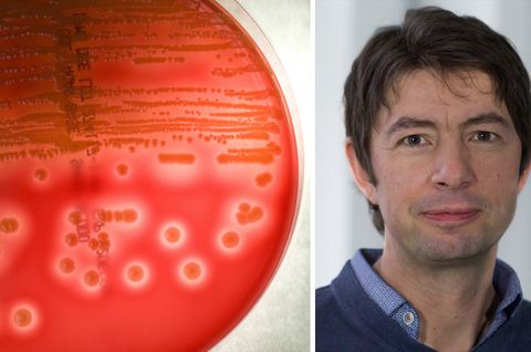 "Wir müssen an neuen Medikamenten forschen": Prof. Christian Drosten ist Direktor des Instituts für Virologe an der Berliner Charité
