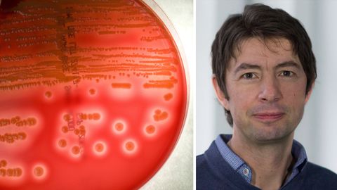 "Wir müssen an neuen Medikamenten forschen": Prof. Christian Drosten ist Direktor des Instituts für Virologe an der Berliner Charité
