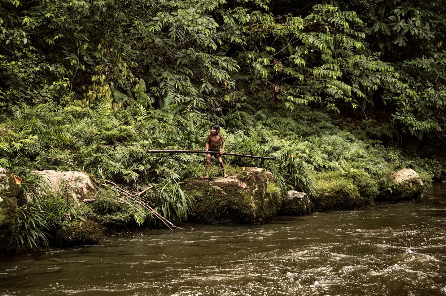 Amazonas