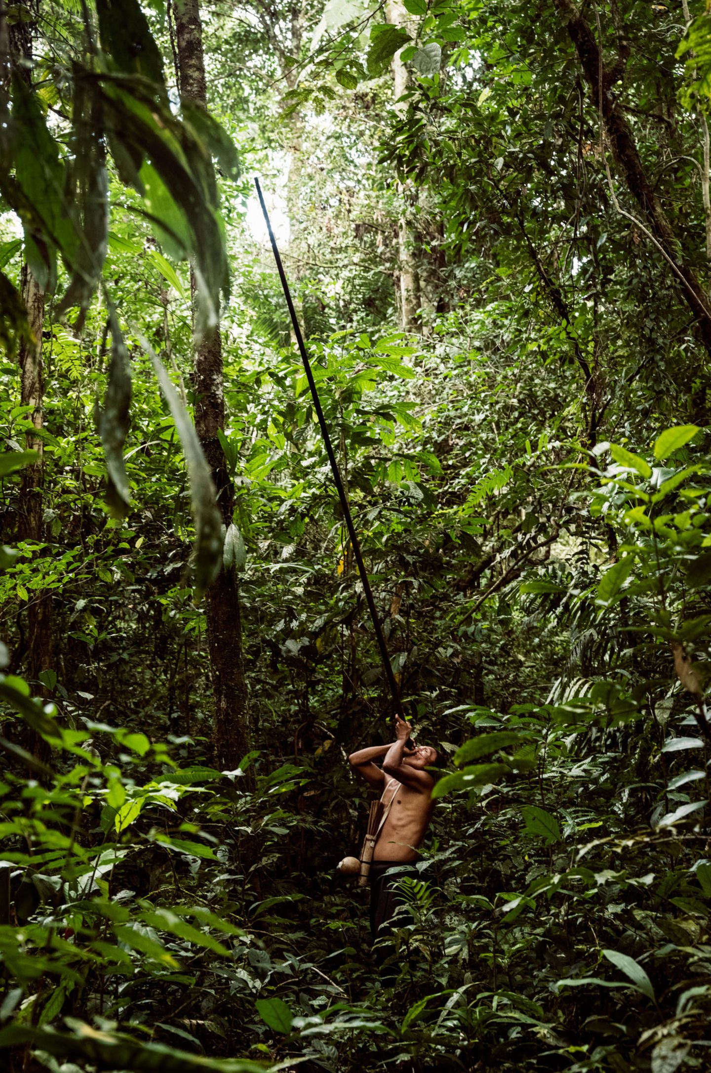 Amazonas