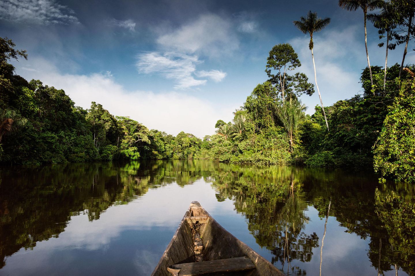 Amazonas