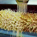 Šakotis aus Litauen  "Šakotis" (auf deutsch "Ast") heißt die Spezialität mit den charakteristischen Teigstacheln des baltischen Landes. 