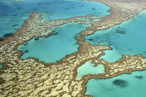 Ein Luftaufnahme zeigt das sogenannte Herzriff des Great Barrier Reefs vor Australien