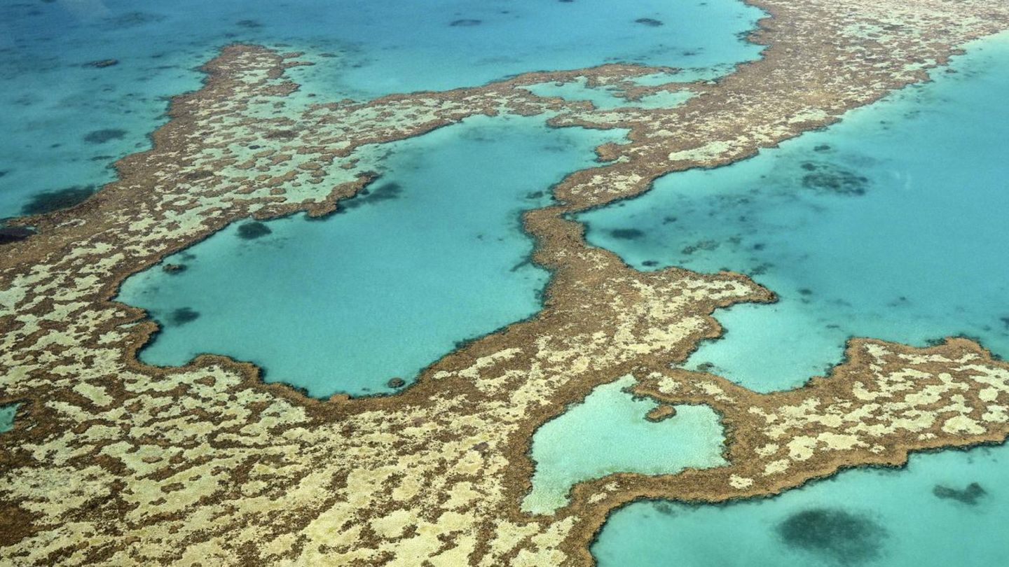 Ein Luftaufnahme zeigt das sogenannte Herzriff des Great Barrier Reefs vor Australien