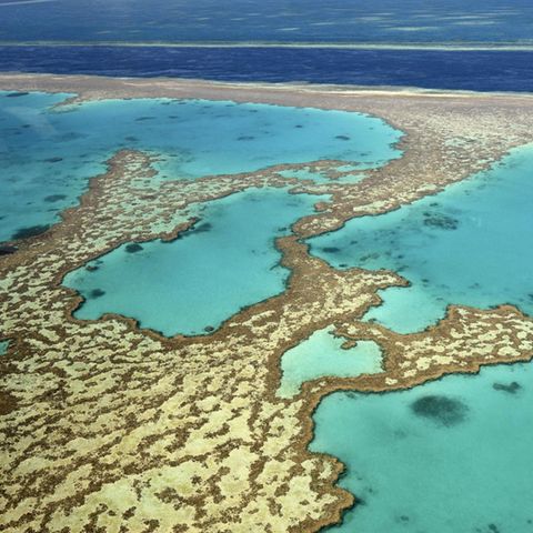Ein Luftaufnahme zeigt das sogenannte Herzriff des Great Barrier Reefs vor Australien