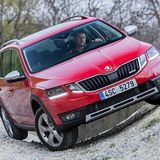 Der Skoda Octavia Scout schlägt sich auch im Gelände gut