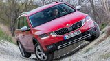 Der Skoda Octavia Scout schlägt sich auch im Gelände gut