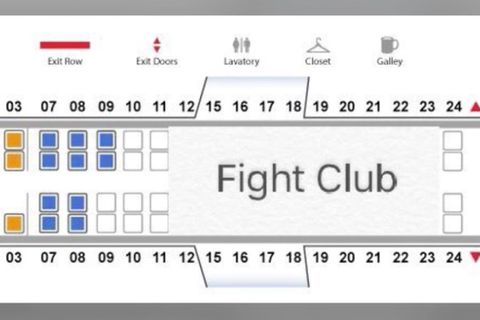 Netzhohn gegen US-Fluglinie : "United Airlines - Nicht genug Platz? Machen Sie sich auf Schläge gefasst!"