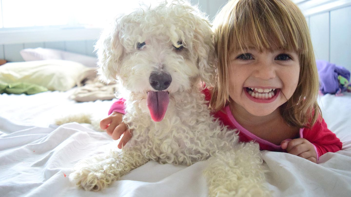 Beste Freunde - viele Kinder wünschen sich einen eigenen Hund.