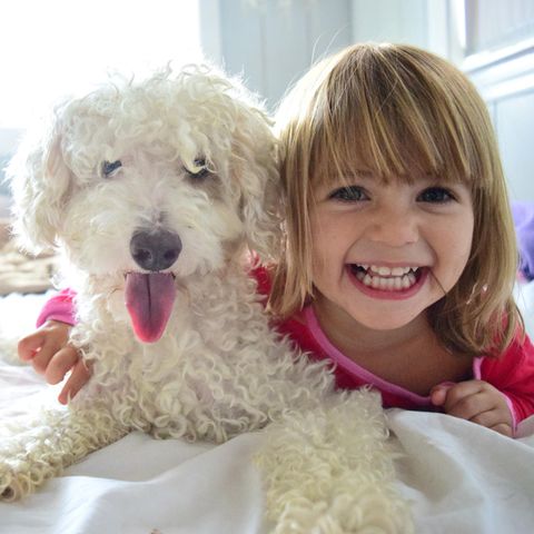Beste Freunde - viele Kinder wünschen sich einen eigenen Hund.