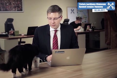 Tierischer Zwischenfall: Katze unterbricht die öffentliche Fragestunde eines Bürgermeisters