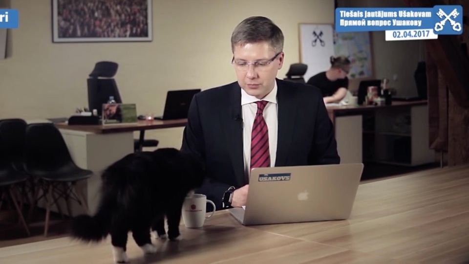 Ländervergleich: Wo die größten Katzenliebhaber wohnen Ländervergleich: Wo die größten Katzenliebhaber wohnen
