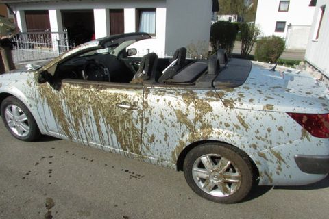 Ausgerechnet in ein offenes Cabrio hat sich das Güllefass eines Landwirtes ergossen