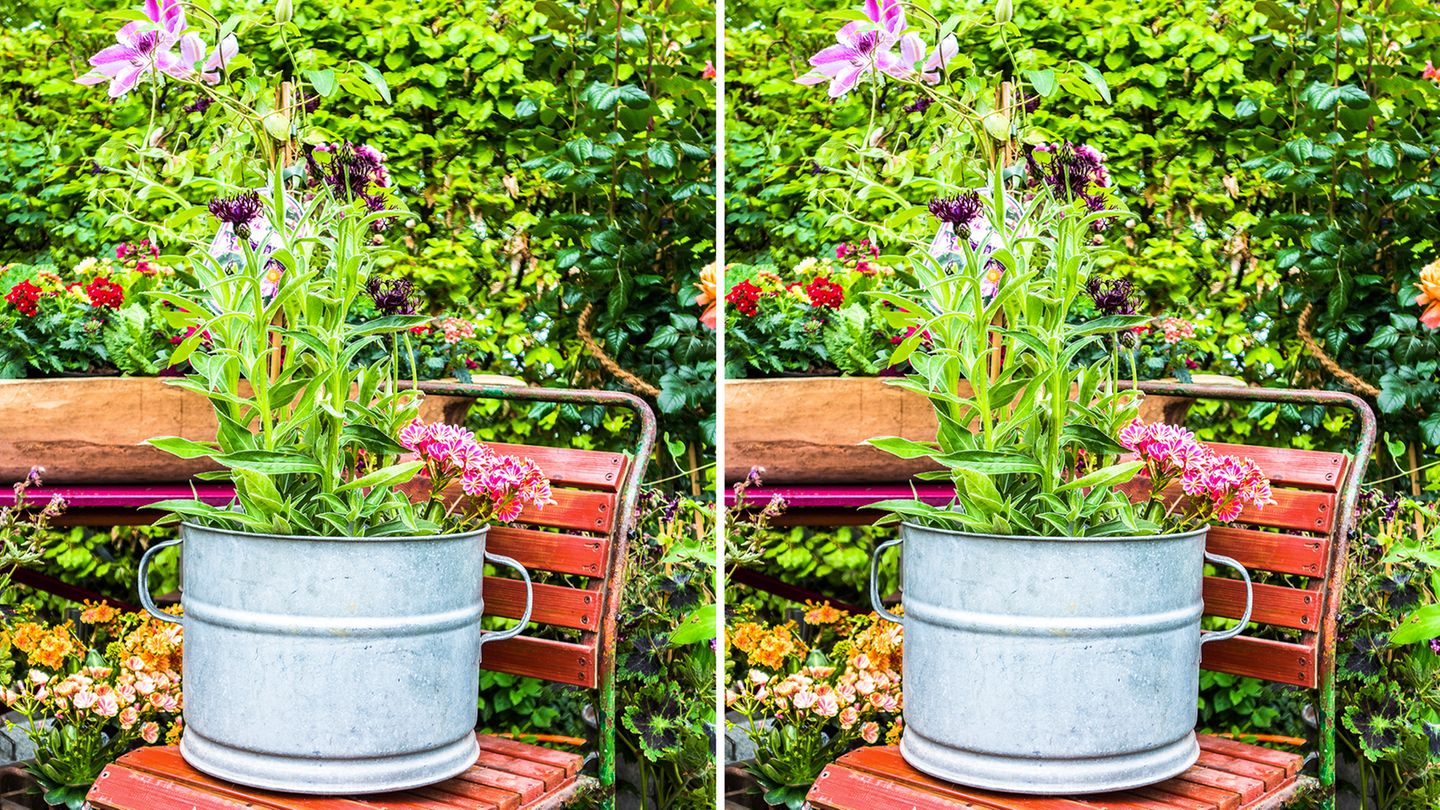 Links sehen Sie das Original, rechts haben wir sechs Fehler versteckt. Um das Bild zu vergrößern, klicken Sie bitte auf das Zoomsymbol unten rechts auf dem Bild.