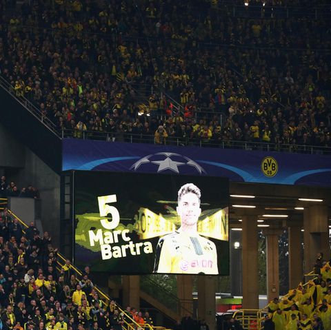 BVB Bericht