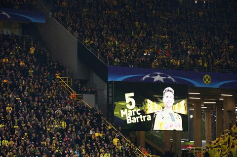 BVB Bericht
