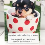 Oder einfach mal den süßen Welpen in der Tasse betrachten - und sich daran erinnern, dass es auch Freude in der Welt gibt.