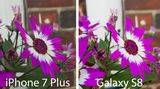 Das Galaxy S8 macht das hellere Bild, doch insgesamt gefällt uns das iPhone 7 Plus hier besser. So ist die Unschärfe beim Apple-Handy besser gestaffelt, die Blumen im Hintergrund sind nicht so unscharf wie die Mauer, die noch ein paar Meter dahinter liegt. Beim Galaxy S8 ist dagegen alles etwa gleich unscharf.