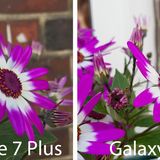 Das Galaxy S8 macht das hellere Bild, doch insgesamt gefällt uns das iPhone 7 Plus hier besser. So ist die Unschärfe beim Apple-Handy besser gestaffelt, die Blumen im Hintergrund sind nicht so unscharf wie die Mauer, die noch ein paar Meter dahinter liegt. Beim Galaxy S8 ist dagegen alles etwa gleich unscharf.