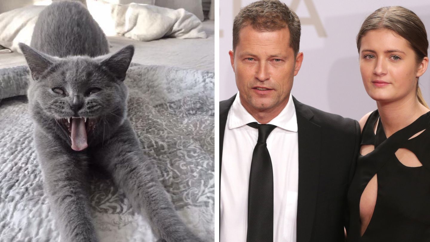 Til Schweiger