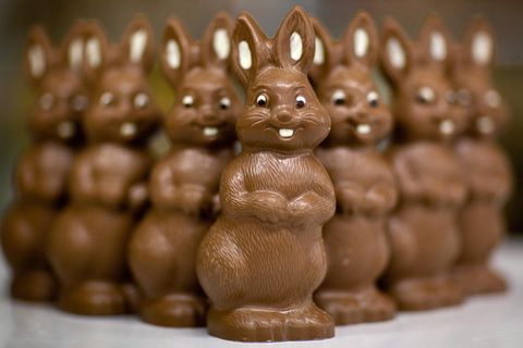 Viele Schoko-Osterhasen