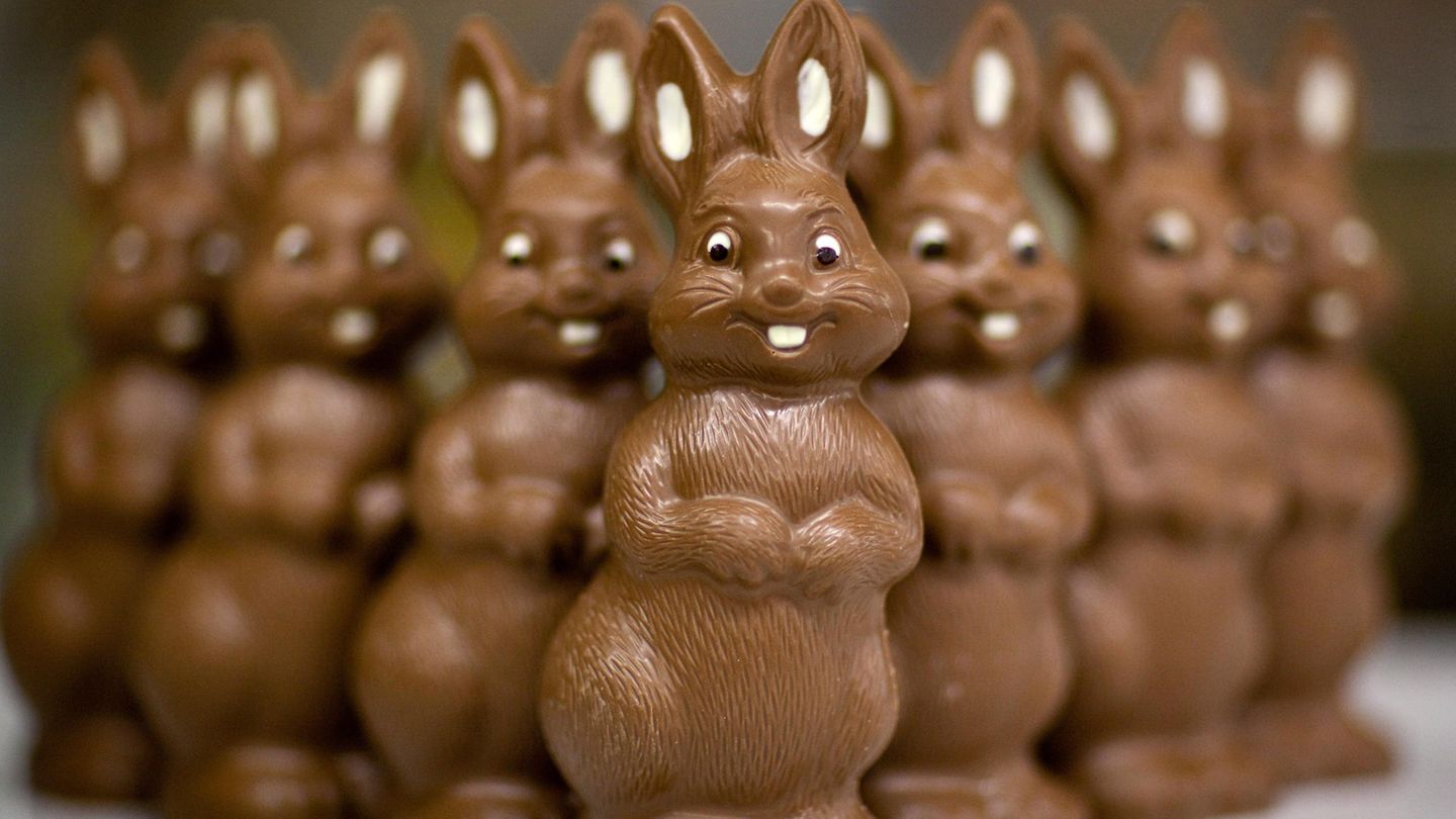 Viele Schoko-Osterhasen