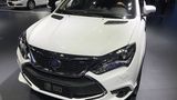 Die Verarbeitung des BYD Tang 100 S49 ist nicht u ber jeden Zweifel erhaben